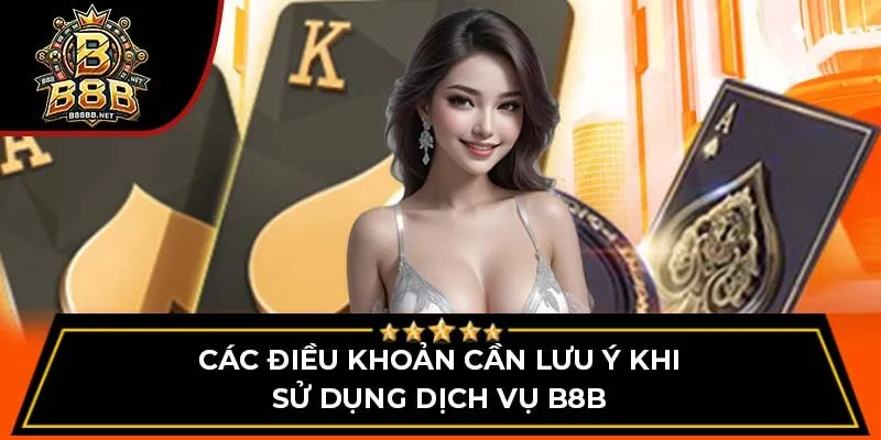 Các điều khoản cần lưu ý khi sử dụng dịch vụ B8B